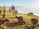 Penneshaw Kangaroo Island